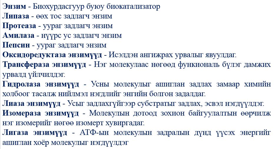 Мэдлээ | Цахим контент